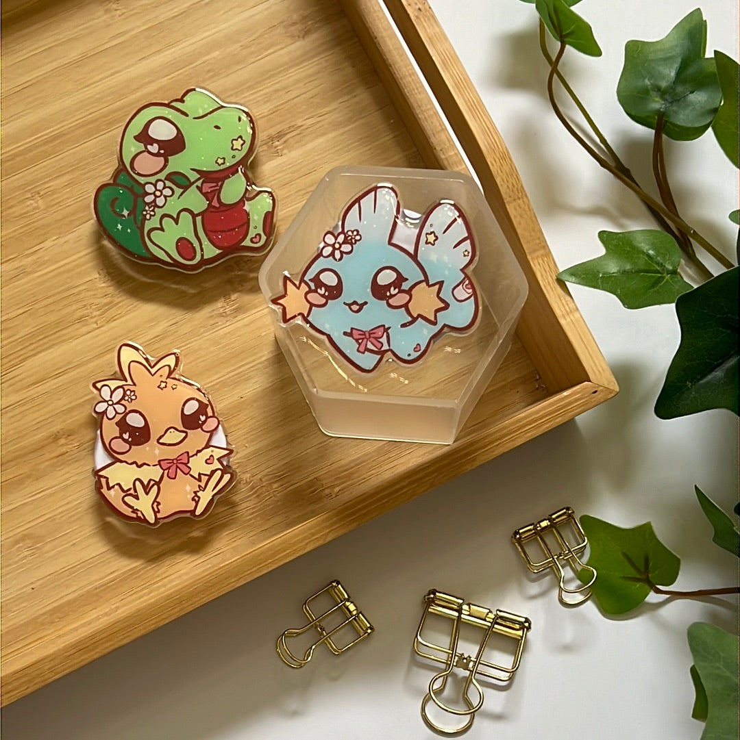 Pika Friends Hoenn Region Glitter Epoxy Acrylic Phone Grips